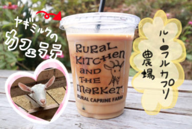 【ルーラルカプリ農場】岡山市東区の可愛い『ヤギ』と触れ合えるスポット！普段味わえない『ヤギミルク』を使ったスイーツを食べてきました。