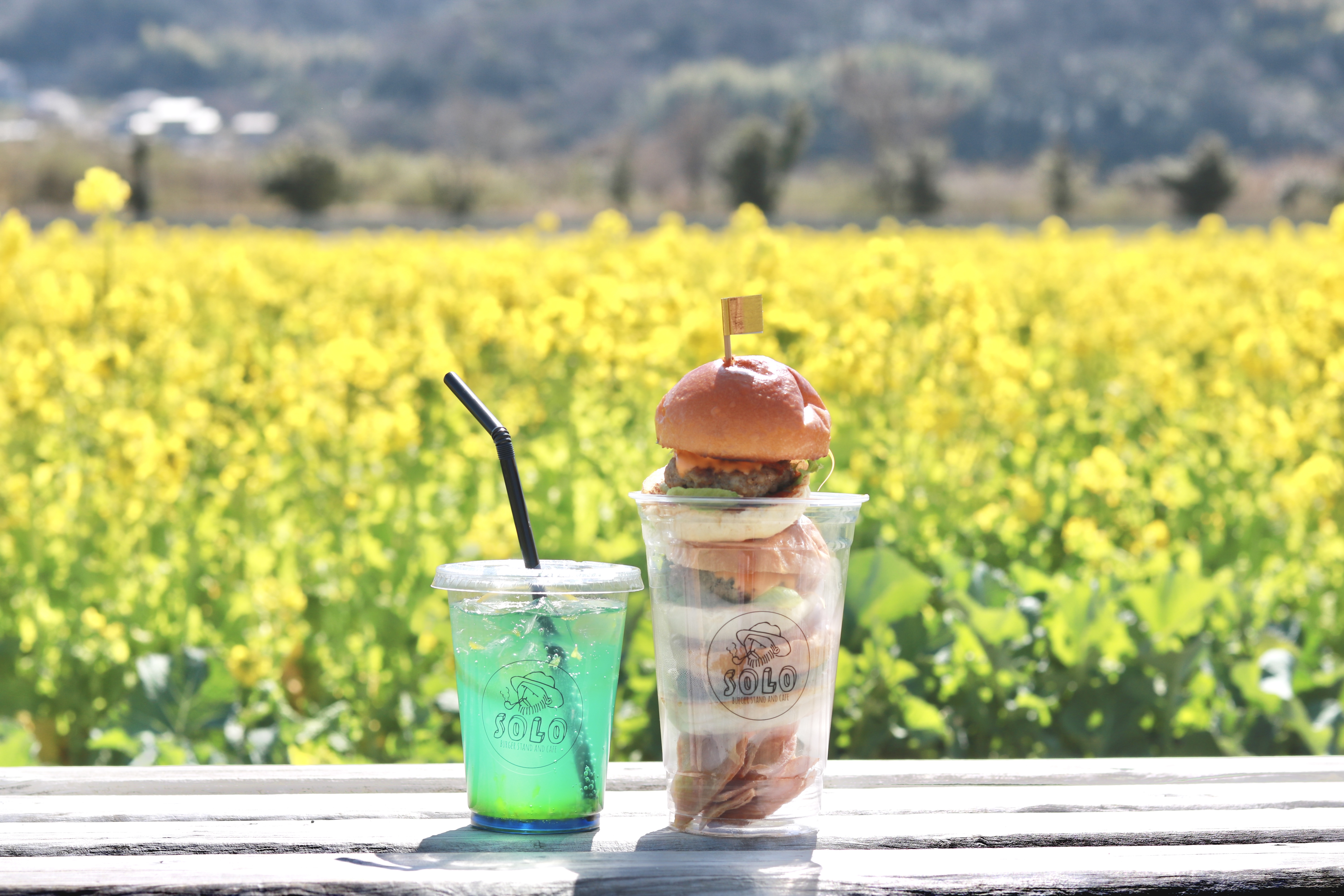 ２０２１年笠岡ベイファーム菜の花の様子 インスタ映えハンバーガーでピクニック気分 まるごと岡山食べつくし日記