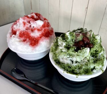 【杜々堂】笠岡の海沿いで食べる日本で５軒しかない氷室うまれの『天然氷のかき氷』