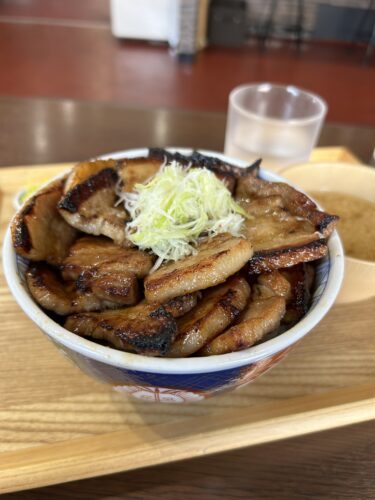 【元祖豚丼屋TONTON岡南店】北海道帯広の「豚丼（メガ）」はガッツリランチにおすすめ！